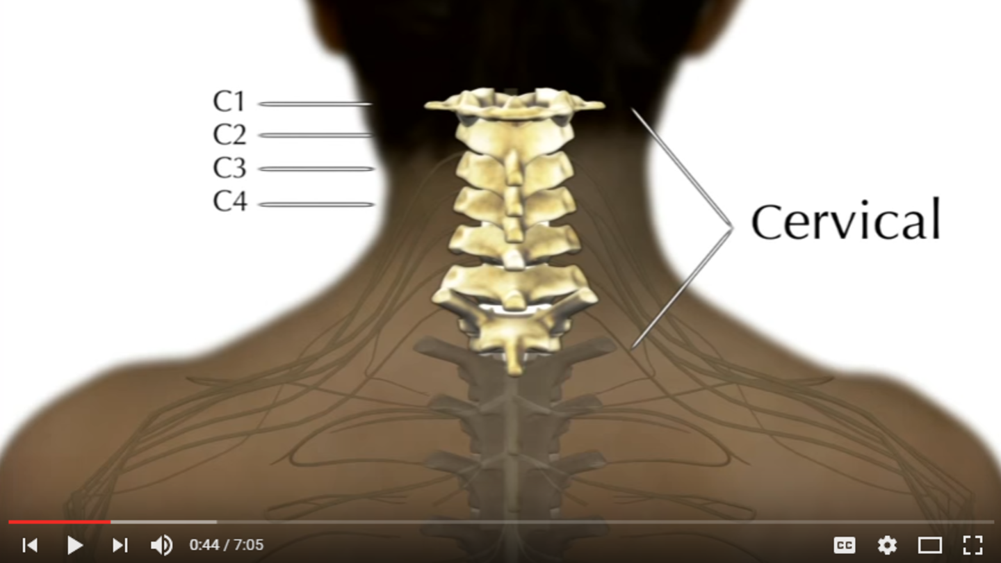 Cervical Spinal Cord Lesions 4213